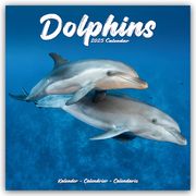 Dolphins - Delfine - Delphine 2025 - 16-Monatskalender  9781804604304