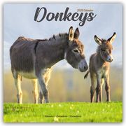 Donkeys - Esel 2025 - 16-Monatskalender  9781804604311