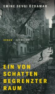 Ein von Schatten begrenzter Raum Özdamar, Emine Sevgi 9783518430088