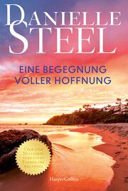 Eine Begegnung voller Hoffnung Steel, Danielle 9783365008263