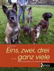 Eins, zwei, drei ... ganz viele Rosengrün, Anne 9783954640867