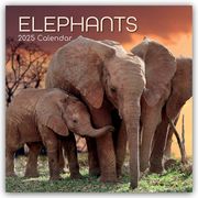 Elephants - Elefanten 2025 - 16-Monatskalender  9781835360361