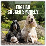 English Cocker Spaniels - Englisch Cocker Spaniel 2025 - 16-Monatskalender  9781804424582