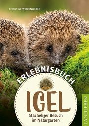 Erlebnisbuch Igel Weidenweber, Christine 9783840430626