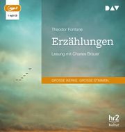 Erzählungen Fontane, Theodor 9783742423375