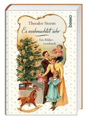 Es weihnachtet sehr Storm, Theodor 9783746257525