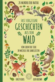 Fast vergessene Geschichten aus dem Wald Hibbs, Emily 9783961850419