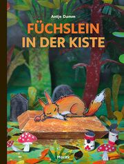 Füchslein in der Kiste Damm, Antje 9783895653995