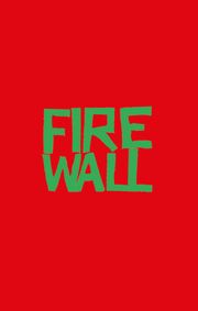 Firewall Lange, Erin Jade 9783734882326