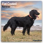 Flat-Coated Retriever 2025 - 16-Monatskalender  9781804603437