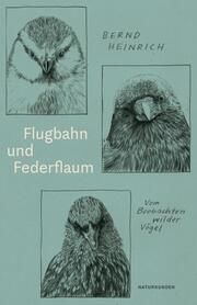 Flugbahn und Federflaum Heinrich, Bernd 9783751802161