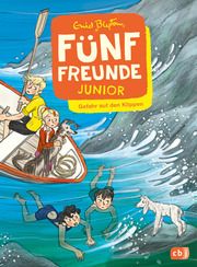 Fünf Freunde JUNIOR - Gefahr auf den Klippen Blyton, Enid 9783570180662