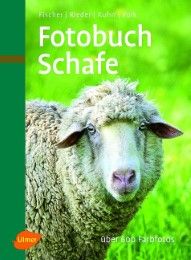 Fotobuch Schafe Fischer, Gerhard/Rieder, Hugo/Volk, Fridhelm u a 9783800164172