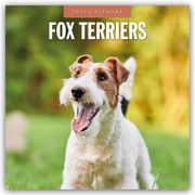 Fox Terriers - Foxterrier 2025 - 16-Monatskalender  9781804424636