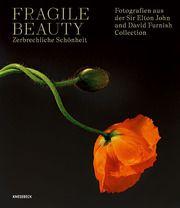 Fragile Beauty - zerbrechliche Schönheit Arbus, Diane/Sherman, Cindy/Avedon, Richard u a 9783957288943