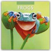 Frogs - Frosch - Frösche 2025 - 16-Monatskalender  9781804423899