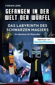 Gefangen in der Welt der Würfel 5 - Das Labyrinth des schwarzen Magiers Lenk, Fabian 9783733506056