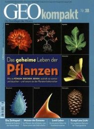 GEOkompakt - Das geheime Leben der Pflanzen Michael Schaper 9783652003483