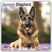 German Shepherd - Deutsche Schäferhunde 2025 - 16-Monatskalender  9781804603475