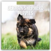 German Shepherd Puppies - Deutsche Schäferhunde Welpen 2025 - 16-Monatskalender  9781804424650