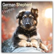 German Shepherd Puppies - Deutsche Schäferhund Welpen 2025 - 16-Monatskalender  9781804604052