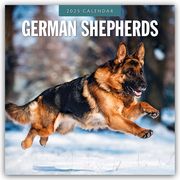 German Shepherds - Deutscher Schäferhund 2025 - 16-Monatskalender  9781804424674