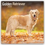 Golden Retriever 2025 - 16-Monatskalender  9781804603499