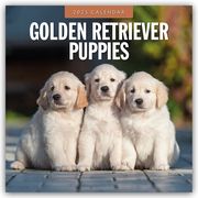 Golden Retriever Puppies - Golden Retriever Welpen 2025 - 16-Monatskalender  9781804424698