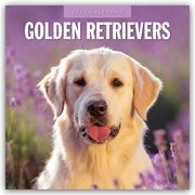 Golden Retrievers - Golden Retriever 2025 - 16-Monatskalender  9781804424704