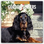 Gordon Setters - Gordon Setter 2025 - 16-Monatskalender  9781804424711