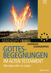 Gottesbegegnungen im Alten Testament Kürle, Stefan 9783765507724