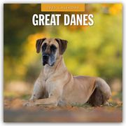 Great Danes - Deutsche Dogge 2025 - 16-Monatskalender  9781804424728