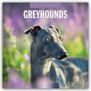 Greyhound - Windhund 2025 - 16-Monatskalender  9781804424742