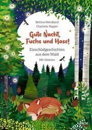 Gute Nacht, Fuchs und Hase! Wendland, Bettina 9783417280890