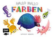 Hallo Hallo - Farben Wenzel, Brendan 9783745924350