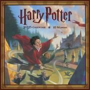 Harry Potter (Literatur) 2025 30X30 Broschürenkalender  9781804231692