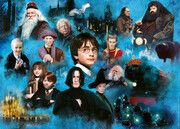 Harry Potters magische Welt  4005555005896