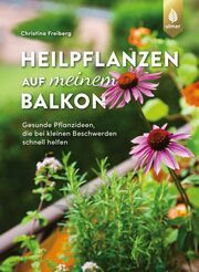 Heilpflanzen auf meinem Balkon Freiberg, Christina 9783818622282