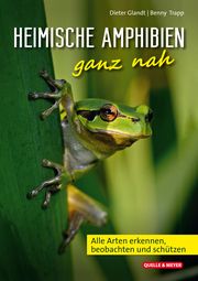 Heimische Amphibien ganz nah Glandt, Dieter/Trapp, Benny 9783494019321