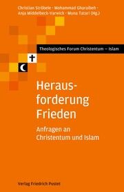 Herausforderung Frieden Christian Ströbele/Mohammad Gharaibeh/Anja Middelbeck-Varwick u a 9783791735160