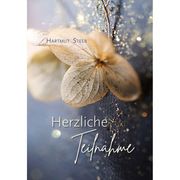 Herzliche Teilnahme Steeb, Hartmut 9783842940581