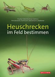 Heuschrecken im Feld bestimmen Fischer, Jürgen/Steinlechner, Daniela/Zehm, Andreas u a 9783494019284