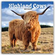 Higland Cows - Hochland Rinder 2025 - 16-Monatskalender  9781804604298