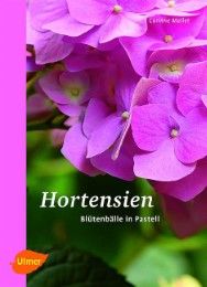 Hortensien Mallet, Corinne 9783800175215