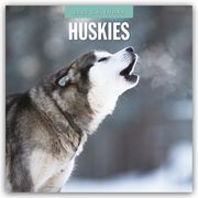 Huskies - Husky - Huskys 2025 - 16-Monatskalender  9781804424759