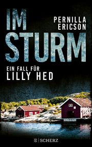 Im Sturm Ericson, Pernilla 9783651001107