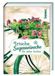 Irische Segenswünsche für jeden Anlass  9783746260754