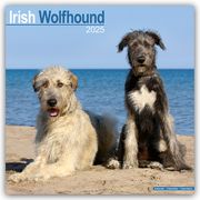 Irish Wolfhound - Irischer Wolfshund 2025 - 16-Monatskalender  9781804603550
