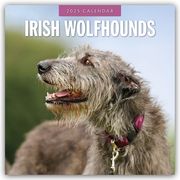Irish Wolfhounds - Irischer Wolfshund 2025 - 16-Monatskalender  9781804424773