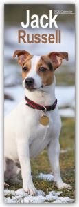 Jack Russell - Jack Russell Terrier 2025  9781804605103
